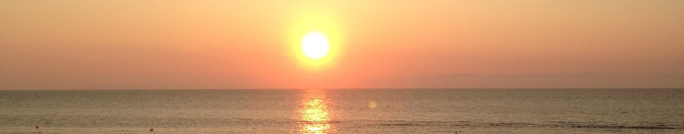 ミームーさんのホーム