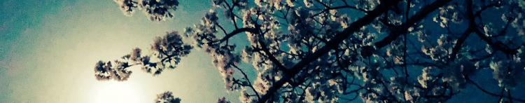 鈴#すずさんのホーム