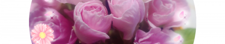 Whiteネコさんのホーム