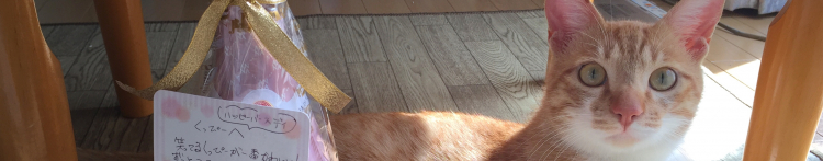 くぴこさんのホーム