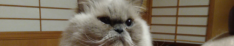 にゃ左衛門さんのホーム