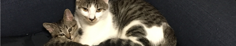 濱ちゃんさんのホーム