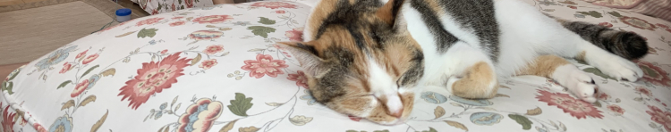 ユウイチロウさんのホーム