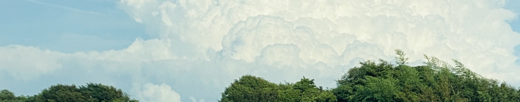 yuko62さんのホーム