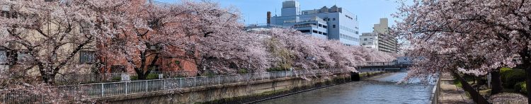 のなっちさんのホーム