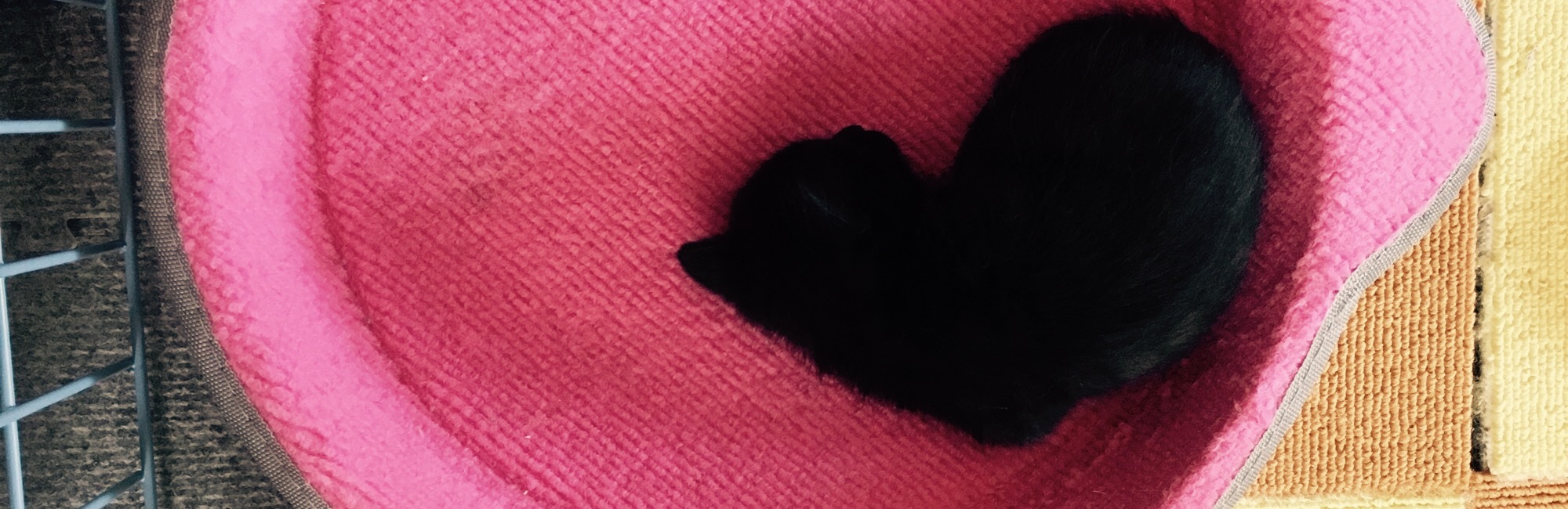 れーいんちさんのホーム