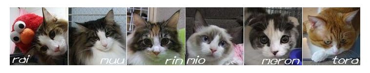 nikemiさんのホーム