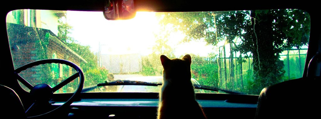 パフざぶろうさんのホーム