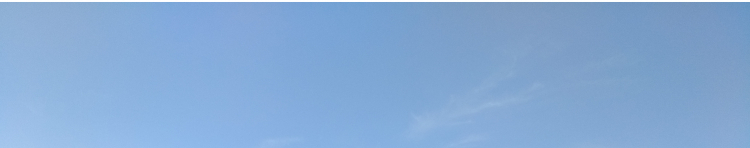 みけすきぃさんのホーム