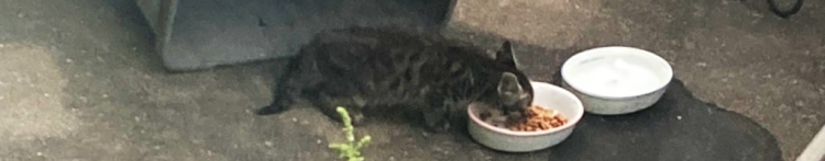 錦山RXさんのホーム