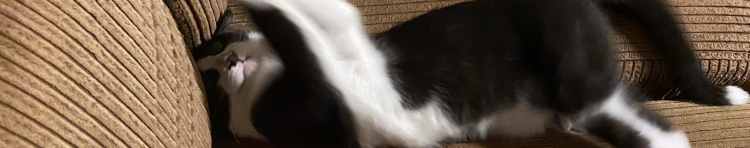 ゆゆゆゆゆゆいさんのホーム