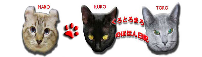 Pピナさんのホーム