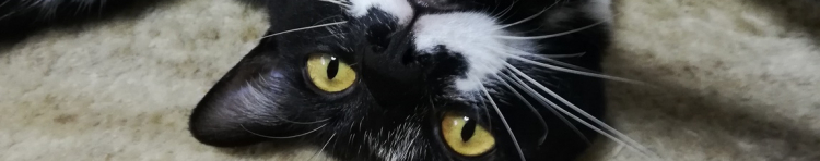 マるさんのホーム