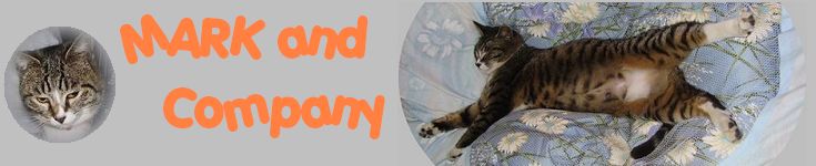 まくさんのホーム