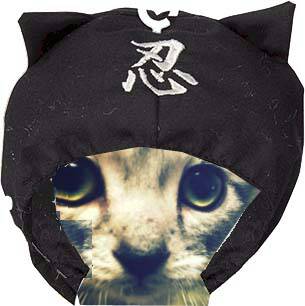 くみぷーさんのホーム