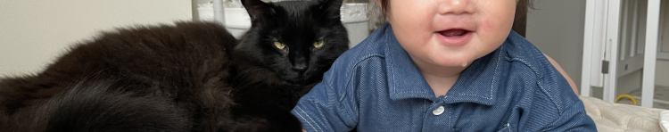 すもも.さんのホーム