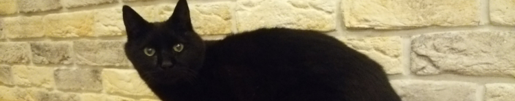 ミルラさんのホーム