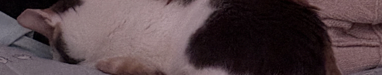 ゆずねこ。さんのホーム