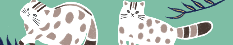 きなぼんのすけさんのホーム