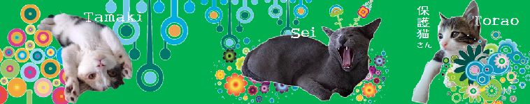 せいのすけさんのホーム