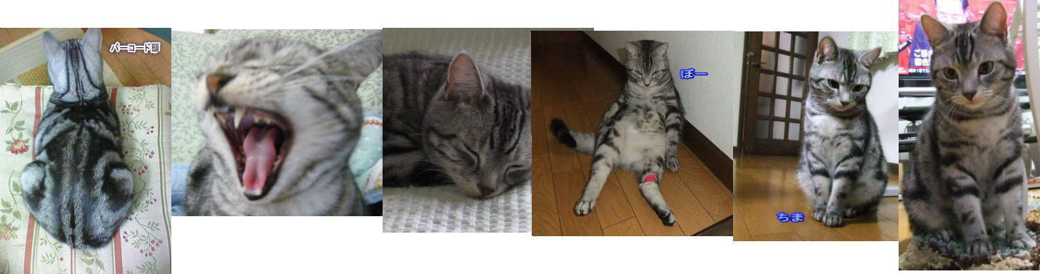 uzunyanさんのホーム