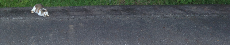 ねーさん。さんのホーム