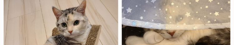 saya-さんのホーム