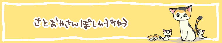 マチ子さんのホーム