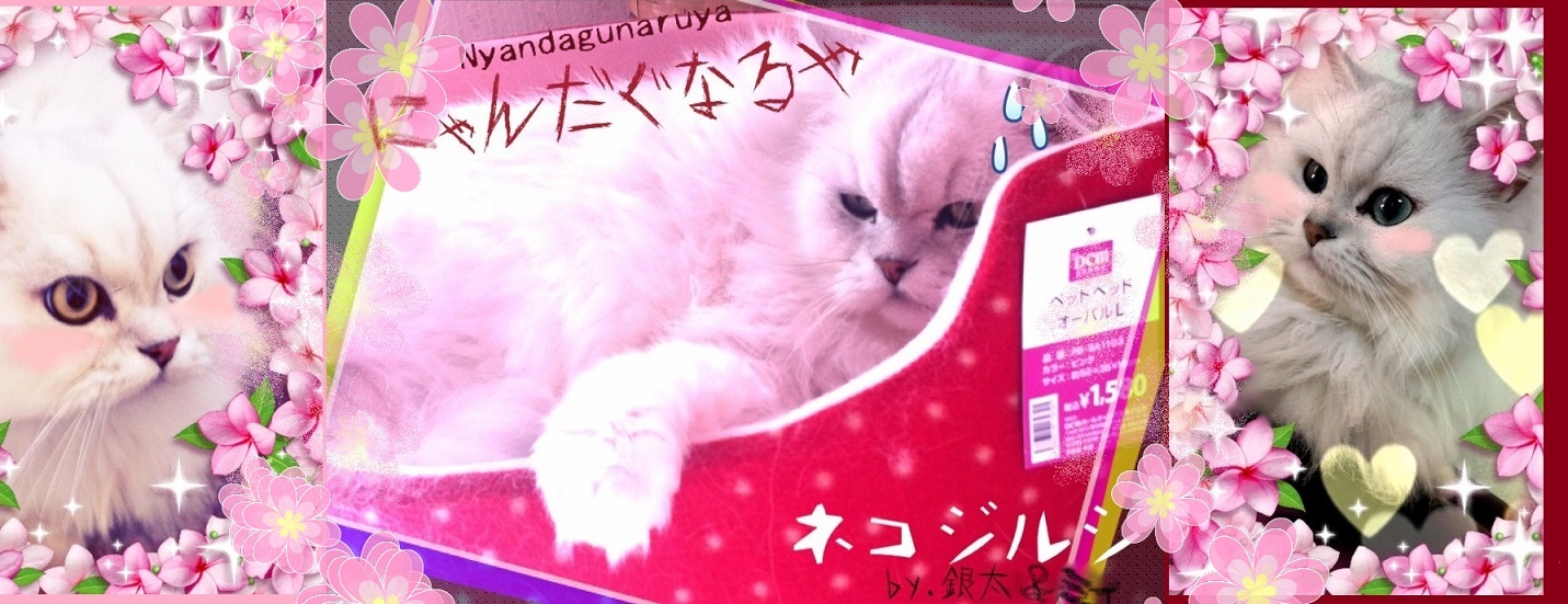 yukeさんのホーム