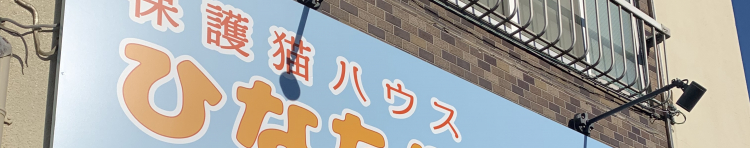 にゃんずネット横須賀さんのホーム