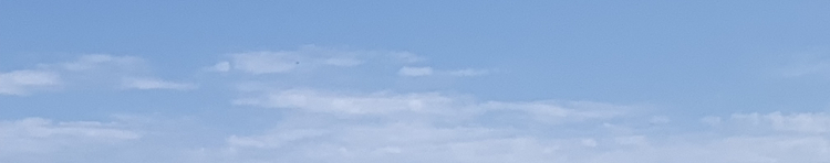 n i k oさんのホーム