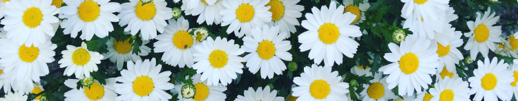 kayo45さんのホーム