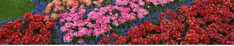 TONO&HIMEさんのホーム