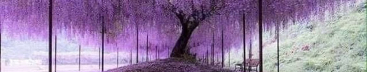 梛月さんのホーム