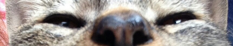 mabo-.-maboさんのホーム