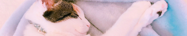 しろくろ628さんのホーム