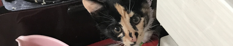 アイザさんのホーム