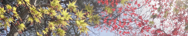 むぎたと月さんのホーム