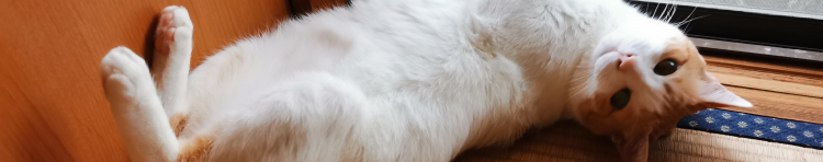 jungateさんのホーム