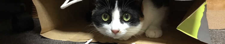 りんごももさんのホーム