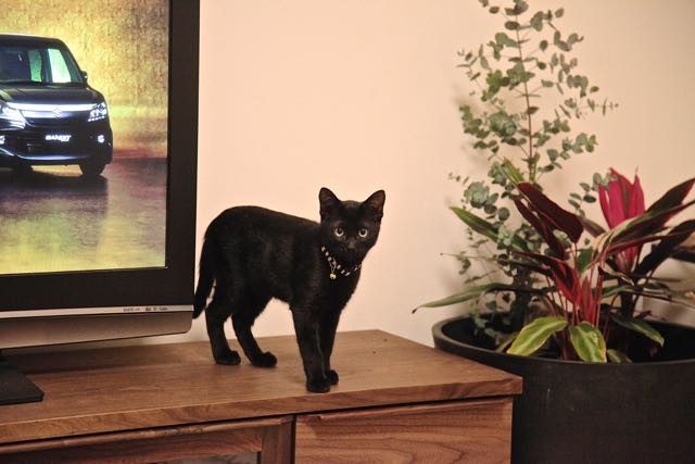 コンユジさんのホーム