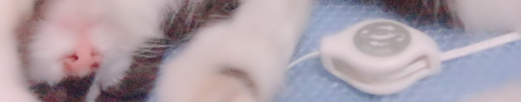 みき#さんのホーム