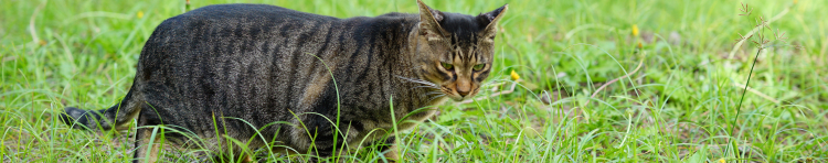 都とボギーさんのホーム