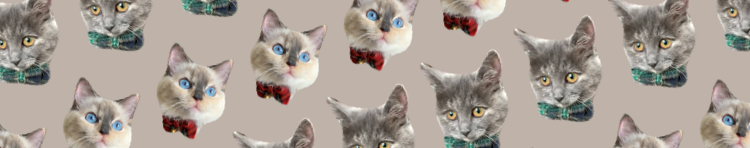 ちぇるこっこさんのホーム