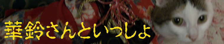 めめさんのホーム