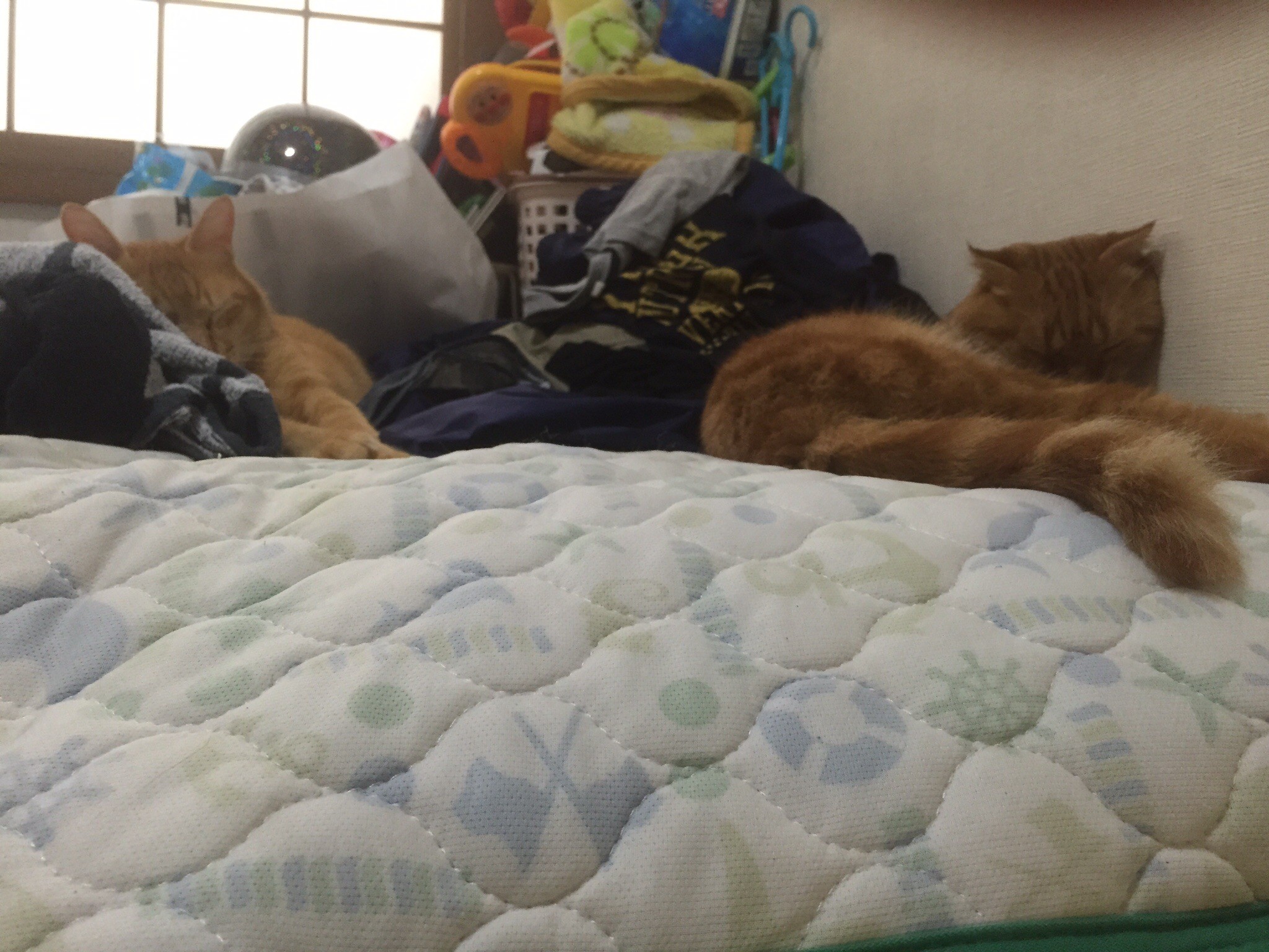 なみわたさんのホーム