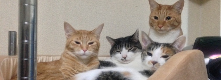 namaboさんのホーム