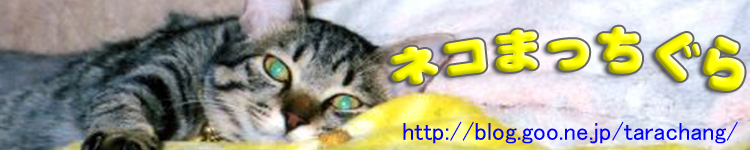 マイロのママさんのホーム