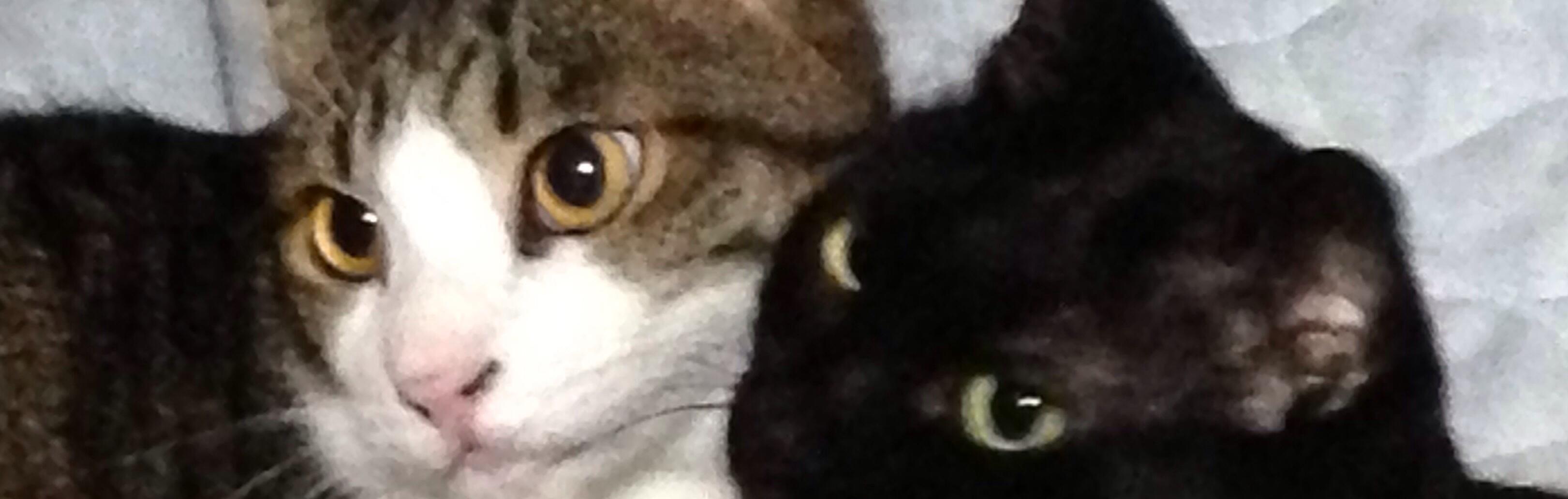 ジロサブさんのホーム