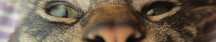 のぢゅさんのホーム